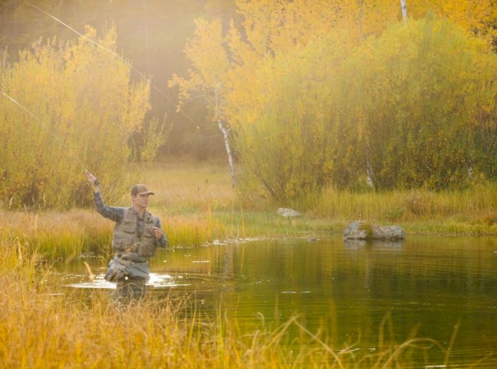 A person is fly fishing in a serene, grassy area with autumnal trees and calm water, casting their line.