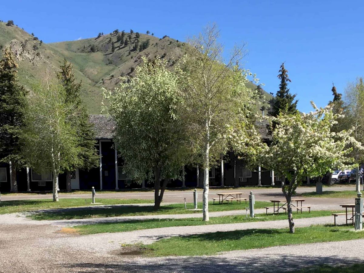 A scenic outdoor area with trees, picnic tables, and a mountainous backdrop under a clear blue sky.